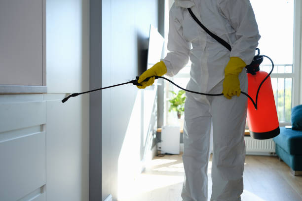 Trusted West Sacramento, CA Mold Inspection, Removal & Remediation Experts